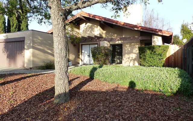 Single-family home with front yard