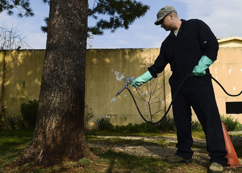General Pest Control Treatment