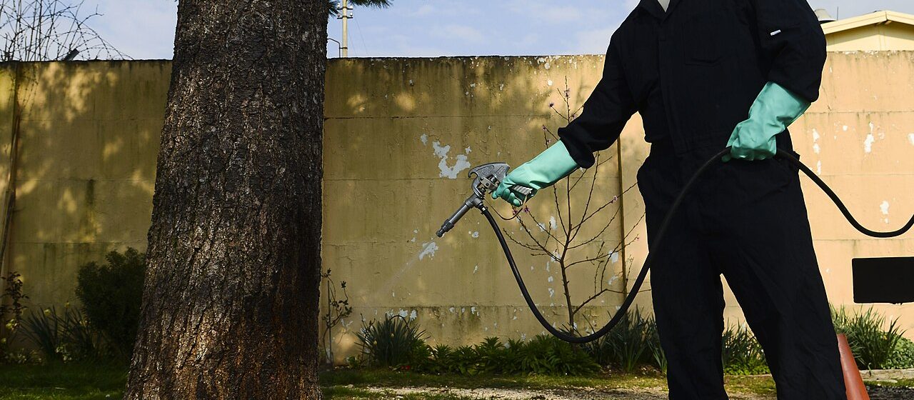 General Pest Control Treatment