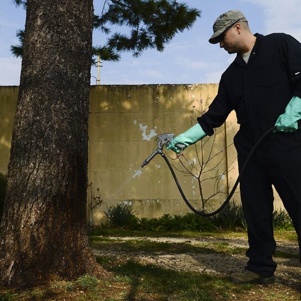 Pest control technician applying a targeted treatment outdoors
