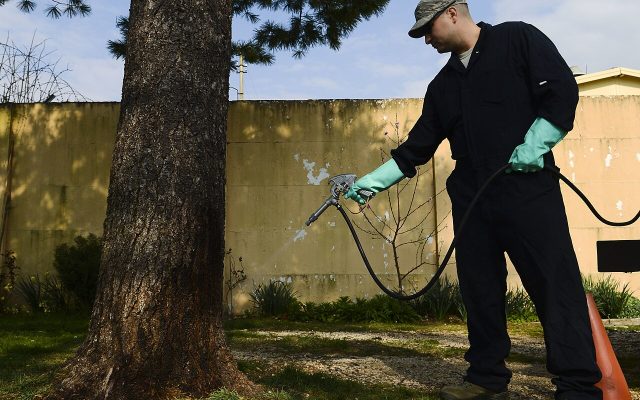 General Pest Control Treatment